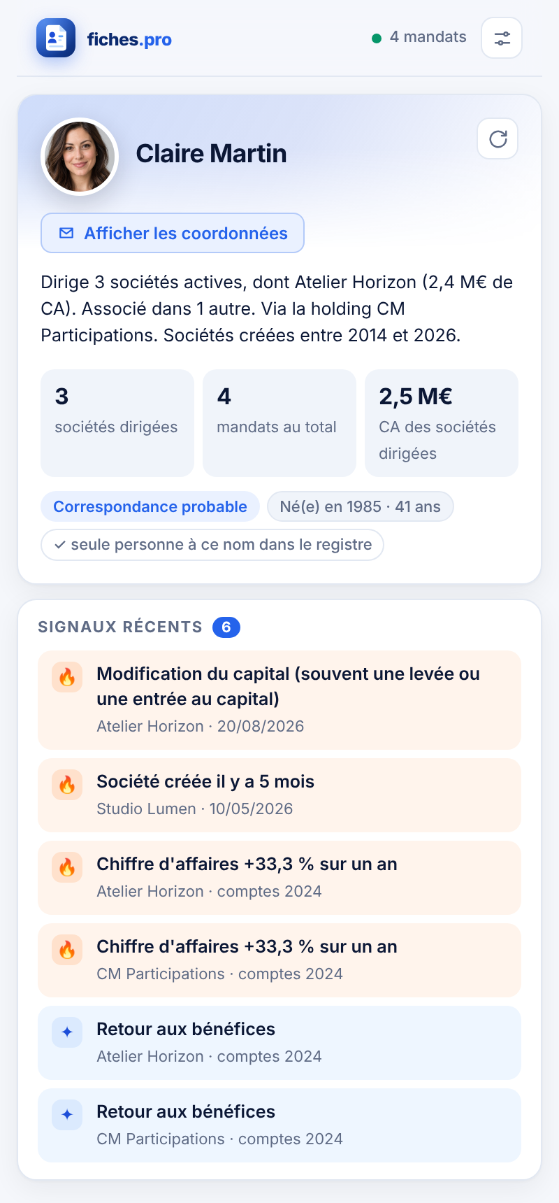 Le dirigeant en un coup d’œil
